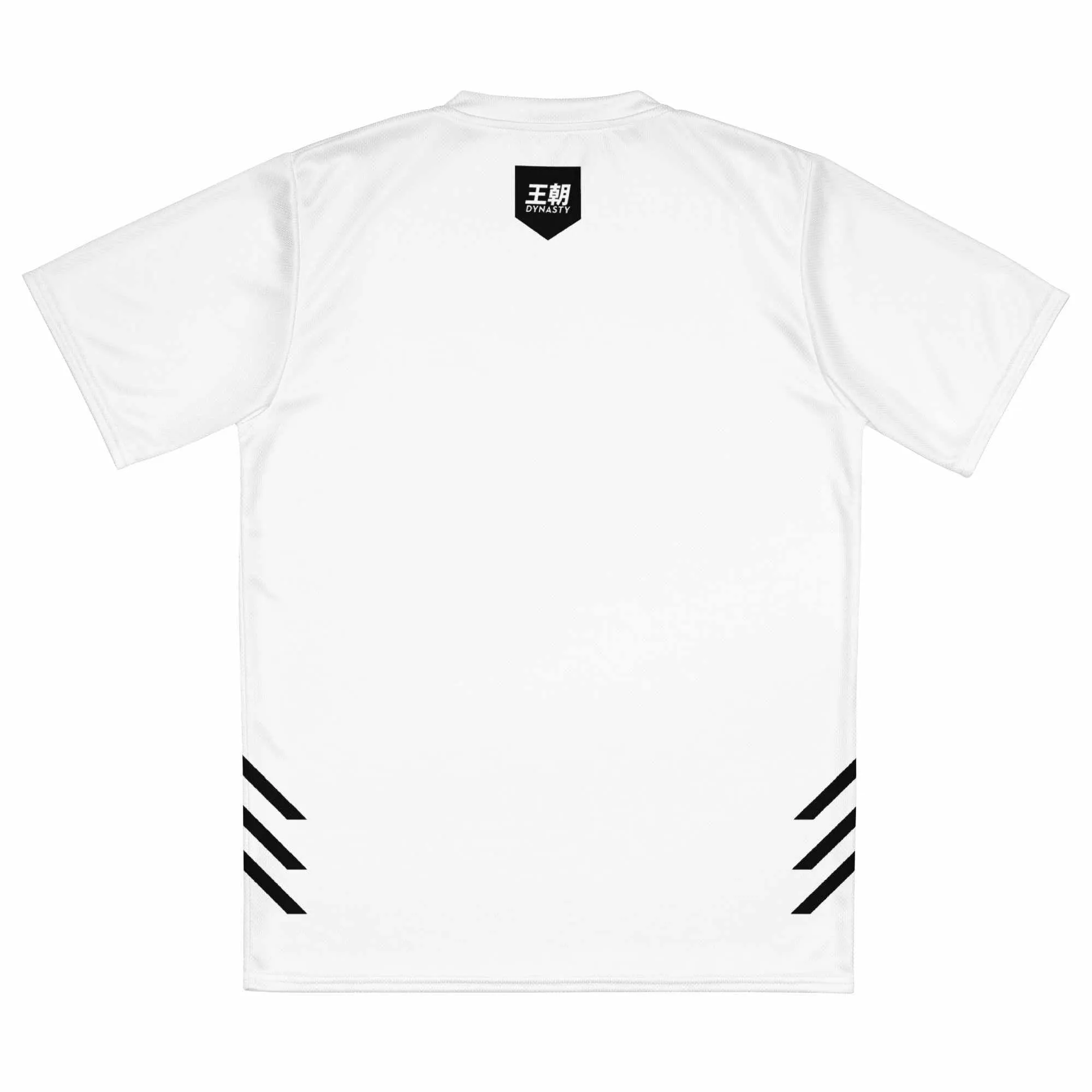 Dynasty Combat Sports Training Shirt (White)