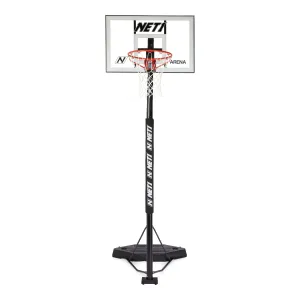 NET1 Arena Basketball Hoop